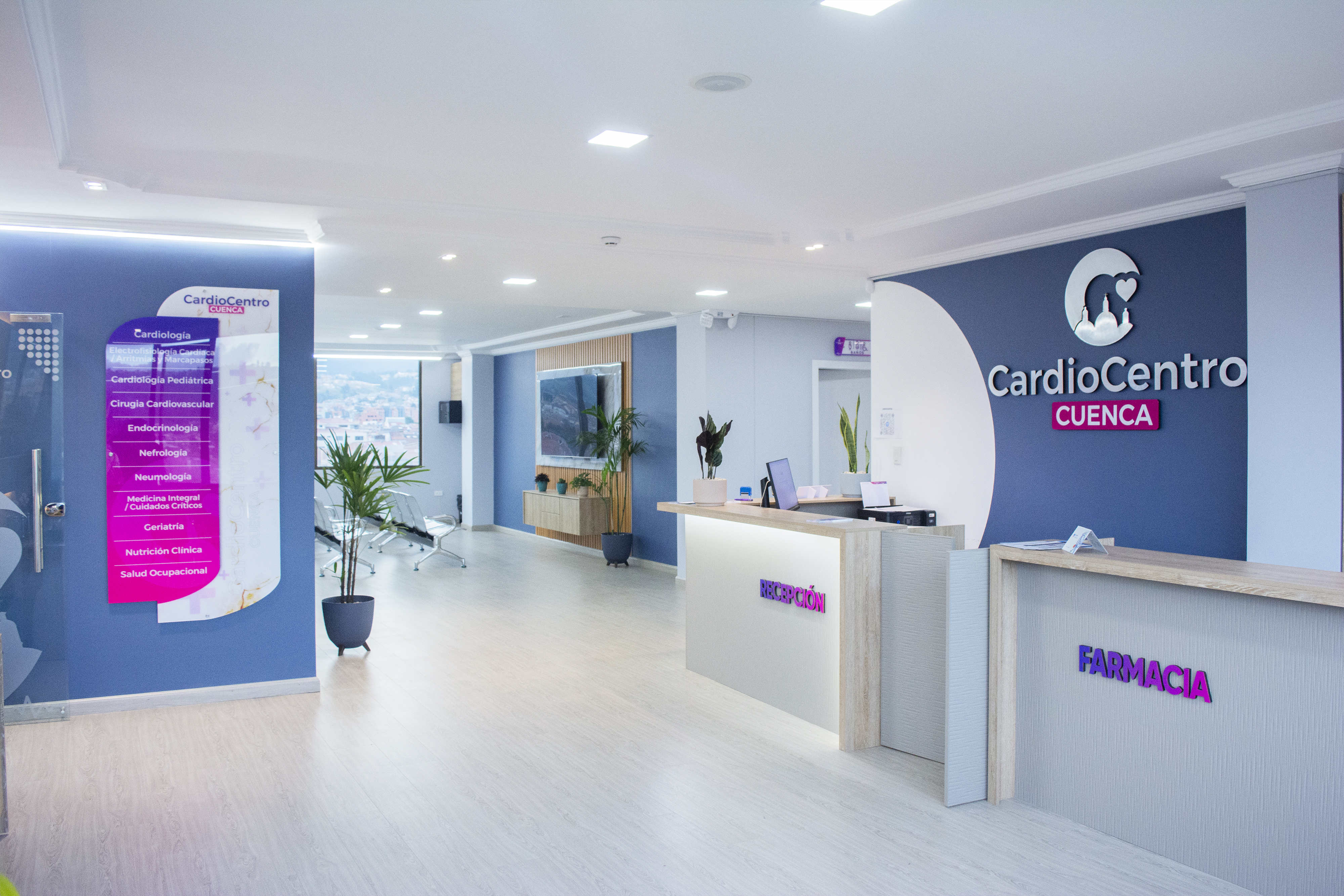 Experiencia y Certificaciones